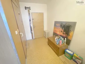 Prodej bytu 2+kk, Litvínov - Janov, Hamerská, 39 m2