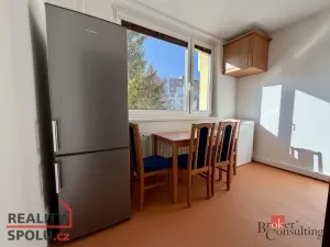 Pronájem bytu 1+1, Jihlava, Březinova, 33 m2