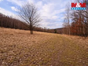 Prodej pozemku pro bydlení, Křečovice - Vlkonice, 68525 m2