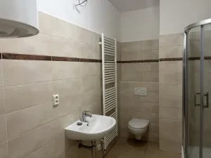 Pronájem bytu 2+kk, Brno, Cejl, 61 m2