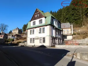 Prodej rodinného domu, Janov nad Nisou, 250 m2
