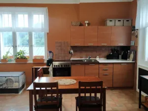 Prodej rodinného domu, Janov nad Nisou, 250 m2