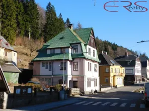 Prodej rodinného domu, Janov nad Nisou, 250 m2