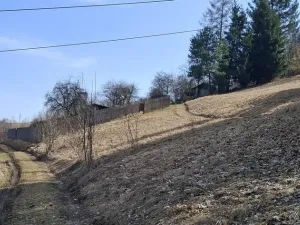 Prodej zahrady, Bystřice nad Pernštejnem, 545 m2