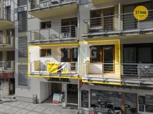 Prodej bytu 1+kk, Luhačovice, Dr. Veselého, 40 m2