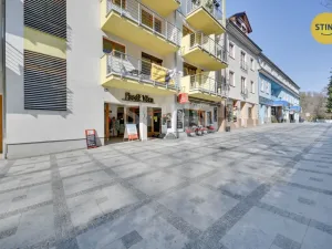 Prodej bytu 1+kk, Luhačovice, Dr. Veselého, 40 m2