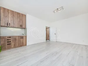 Prodej bytu 1+kk, Kralupy nad Vltavou - Lobeček, nám. Mládežníků, 26 m2