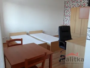 Pronájem bytu 1+kk, Opava - Předměstí, Olbrichova, 30 m2