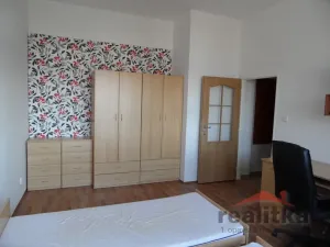Pronájem bytu 1+kk, Opava - Předměstí, Olbrichova, 30 m2