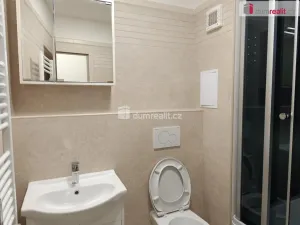 Pronájem bytu 1+kk, Děčín - Děčín I-Děčín, Karla Čapka, 30 m2