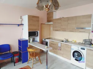 Pronájem bytu 1+kk, Plzeň - Bolevec, Žlutická, 31 m2