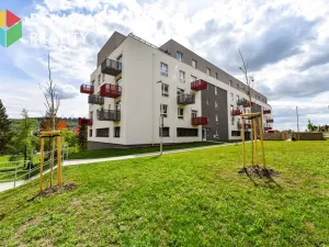 Pronájem bytu 1+kk, Beroun, Nepilova, 39 m2