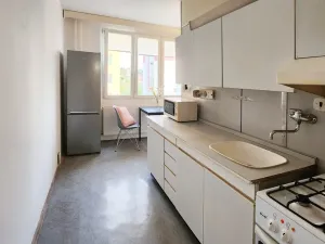 Pronájem bytu 1+1, Třemošná, Budovatelská, 40 m2