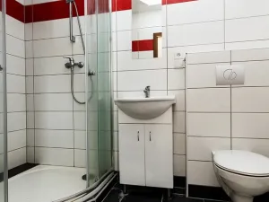 Prodej rodinného domu, Pomezí nad Ohří, Tůně, 250 m2