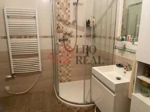 Prodej rodinného domu, Veselíčko, 172 m2