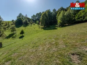 Prodej pozemku pro bydlení, Halenkov, 7015 m2