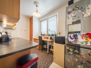 Prodej bytu 2+1, Bzenec, Průmyslová, 65 m2