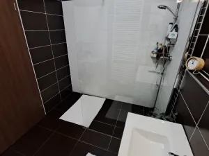 Pronájem bytu 2+kk, Olomouc, Aloise Rašína, 60 m2