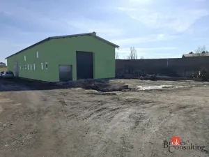 Pronájem skladu, Opava - Předměstí, 330 m2