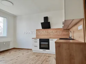 Pronájem bytu 1+1, České Budějovice - České Budějovice 2, J. Opletala, 40 m2