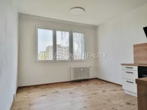 Pronájem bytu 1+1, České Budějovice - České Budějovice 2, J. Opletala, 40 m2