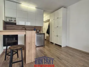 Pronájem bytu 1+kk, České Budějovice, Plzeňská, 21 m2