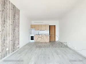 Pronájem bytu 1+kk, České Budějovice, Fr. Ondříčka, 23 m2