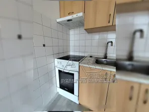 Pronájem bytu 1+kk, České Budějovice, Fr. Ondříčka, 23 m2