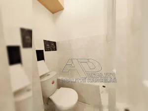 Pronájem bytu 1+kk, České Budějovice, Fr. Ondříčka, 23 m2