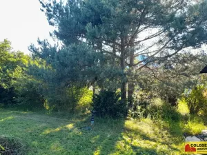 Pronájem zahrady, Vilémovice, 1504 m2