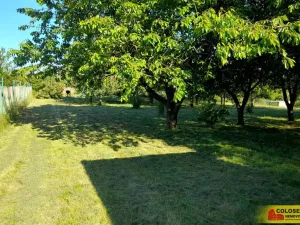 Pronájem zahrady, Vilémovice, 1504 m2