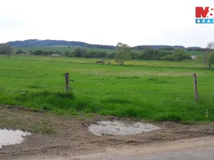 Prodej pole, Zvěstov - Libouň, 12795 m2