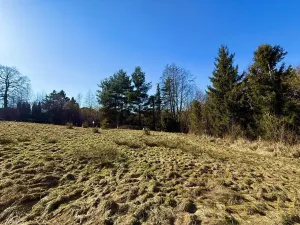 Prodej pole, Chotěbuz, Pod Zámkem, 2300 m2