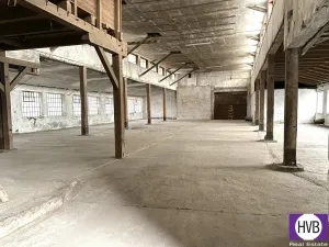 Prodej skladu, Mirovice, U Vodárny, 8387 m2