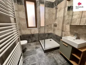 Pronájem bytu 1+kk, Plzeň, Solní, 38 m2