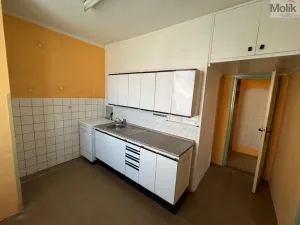 Prodej bytu 2+1, Most, Maxe Švabinského, 54 m2