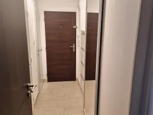 Pronájem bytu 3+kk, Šilheřovice, Sokolská, 64 m2