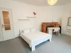 Pronájem bytu 2+1, Brno, Smetanova, 101 m2