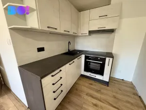 Pronájem bytu 3+kk, Dolní Domaslavice, 70 m2