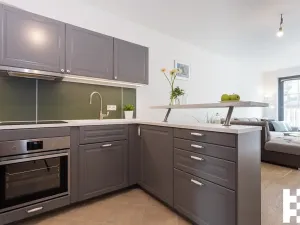 Pronájem bytu 4+kk, Praha - Žižkov, Olšanská, 107 m2