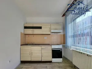 Pronájem bytu 1+1, Nové Strašecí, U Školy, 26 m2