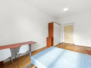 Prodej bytu 2+1, Praha - Žižkov, Bořivojova, 77 m2