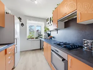 Prodej rodinného domu, Vyškov - Opatovice, 191 m2