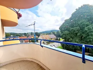 Pronájem bytu 1+kk, Brno, Živného, 34 m2