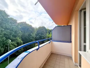 Pronájem bytu 1+kk, Brno, Živného, 34 m2