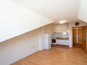 Pronájem bytu 2+kk, Olomouc, Javoříčská, 47 m2