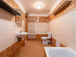 Pronájem bytu 2+kk, Olomouc, Javoříčská, 47 m2