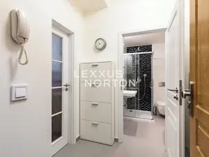 Pronájem bytu 1+kk, Praha - Žižkov, Ondříčkova, 31 m2