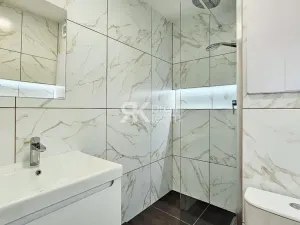 Pronájem bytu 1+1, Ostrava, Proskovická, 40 m2