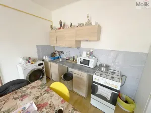 Prodej bytu 2+kk, Louny, Poděbradova, 47 m2